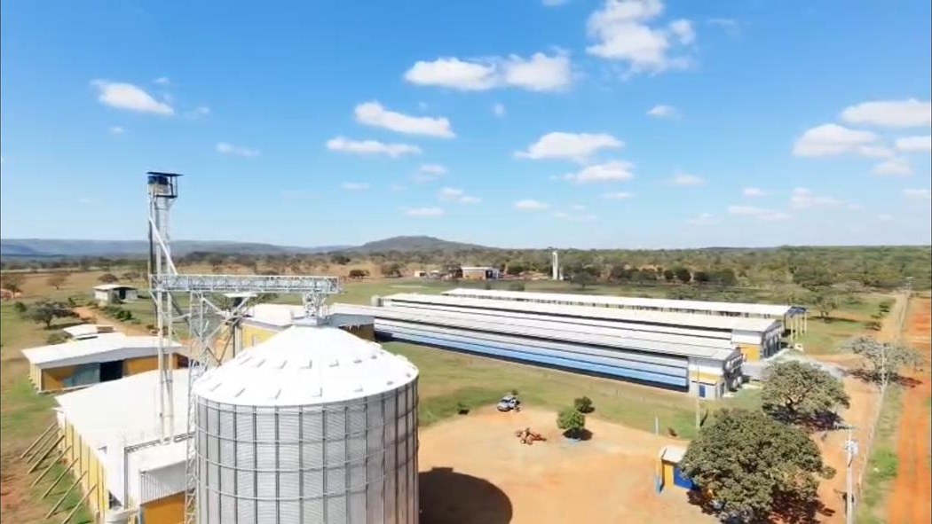 Vista aérea do complexo da Granja OVO Brasil em Paraopeba — o silo, os galpões e a fábrica de ração entre o verde