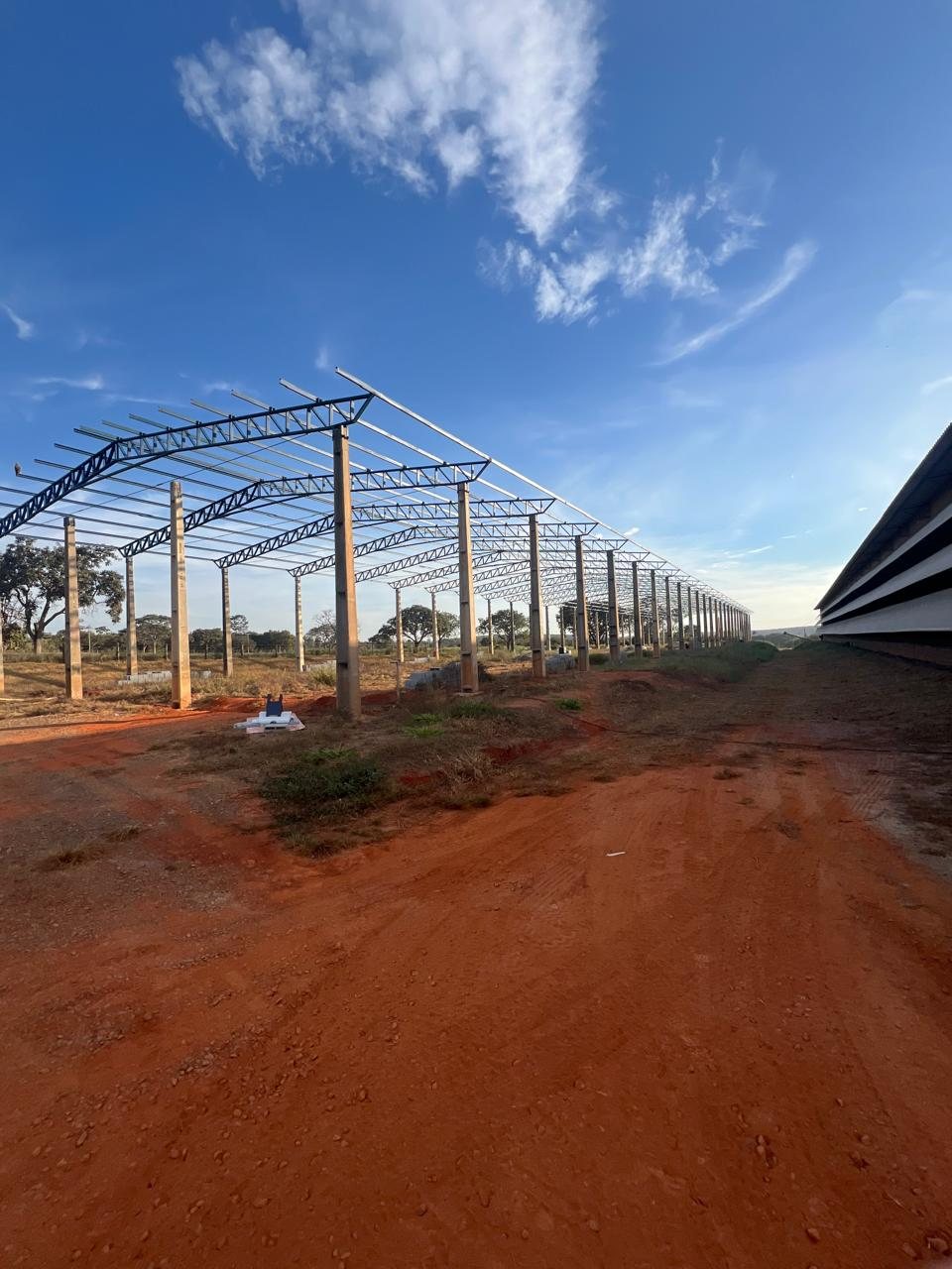 Etapa de construção e expansão da estrutura da Granja OVO Brasil